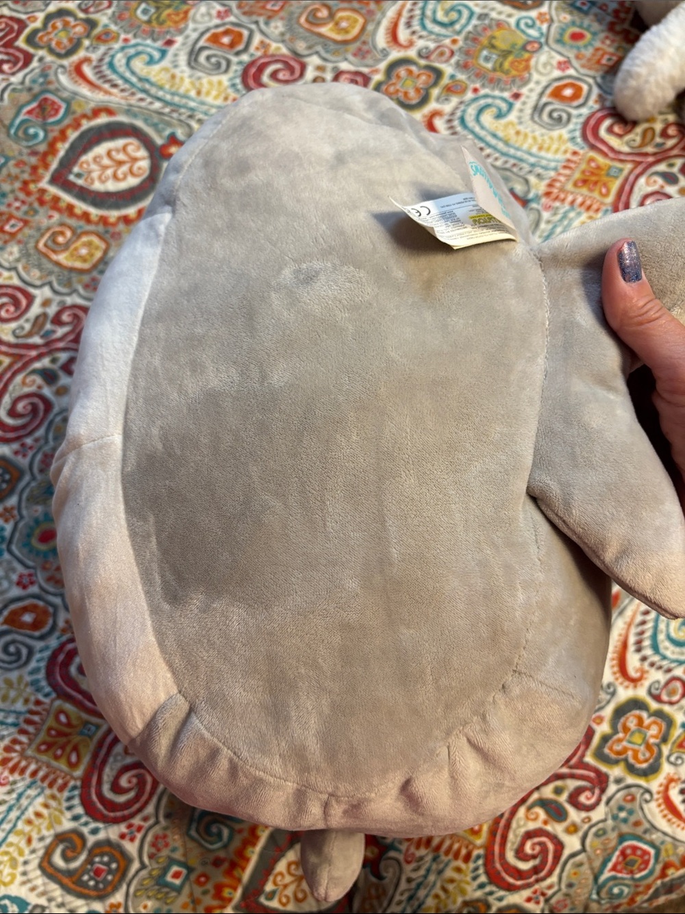 Squishmallow large Gray and Cream Plush Shark Pillow with Teal Trim around mask - Picture 7 of 11